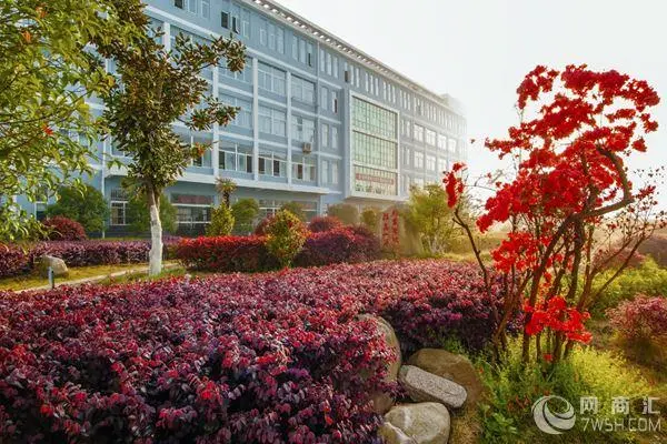 岳西县技工学校