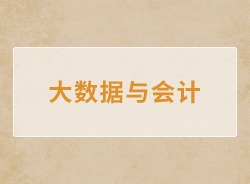 大数据与会计